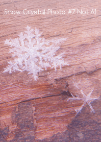 Snow Crystal Photo #7-24Not AI