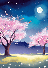 Beautiful night cherry blossoms#1806