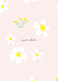 yellow and white flowers28