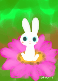 Flower*rabbit