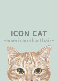 ICON CAT-American Shorthair-PASTEL GR/06