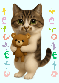 I'm Teto Cat