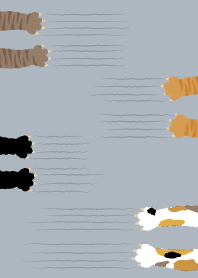Cats scratching5
