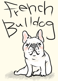 French bulldog is a very cute dog