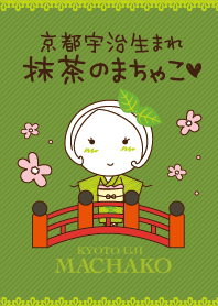 Machako Kyoto Uji born Matcha