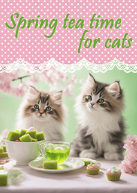 Spring tea time for cats - green tea