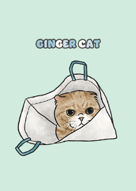 gingercat7 / mint cream