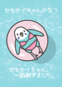 budgeriger summer theme