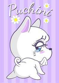 Puchini - Pussy Cat