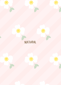 白いお花と葉っぱ 可愛い27