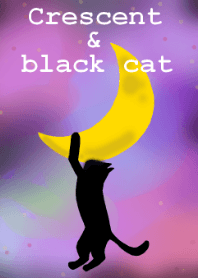 Crescent and black cat