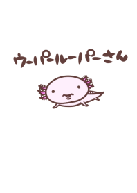 ウーパールーパーさん