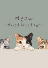 Meow - Mixed breed cat 01 - GREEN GRAY