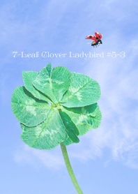 7-Leaf Clover Ladybird #5-3