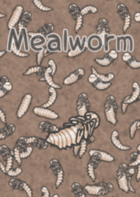 Do you like mealworms?2