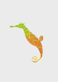 happy Sea dragon