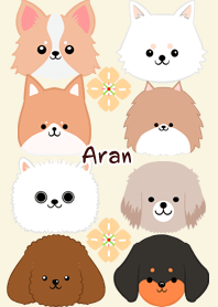 Aran Scandinavian dog style3