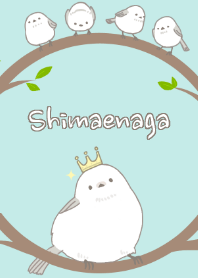 Shimaenaga Long-tailed little bird