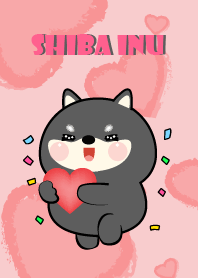 Cute Black Shiba Inu  InLove Theme (JP)