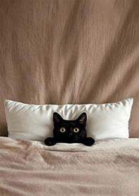 귀여운 퀼트 고양이 - 검은 고양이 1.0