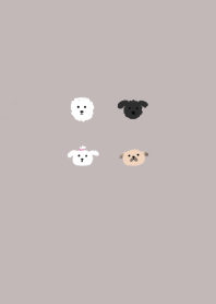 Puppies Land