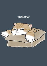 neko drawing2 / indigo