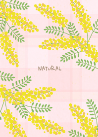 Mimosa wild dance14 from Japan