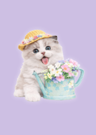 花卉布偶貓主題 Purple 04