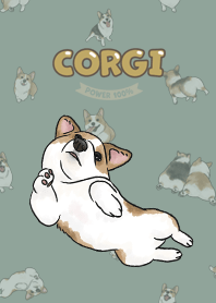 corgicorgi8 - dusty green