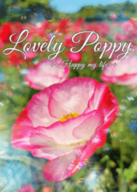 Lovely Poppy