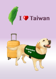 Labrador ! Taiwan's quarantine dogs !