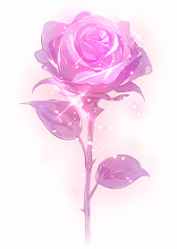 Charming pink rose JP