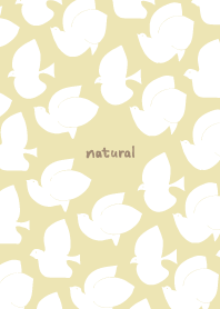 many white birds13