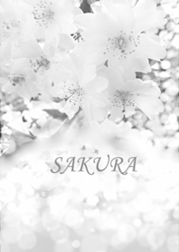 Sakura filled with calm happiness8.