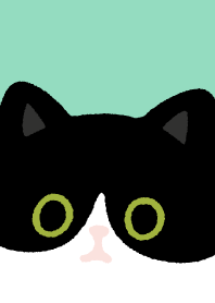 Tuxedo cat and Black cat.9