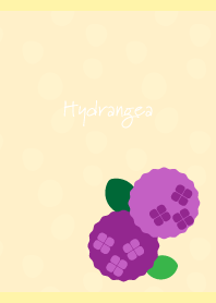 Round hydrangea on LY JP