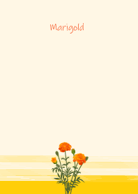 July's birth flower,Marigold
