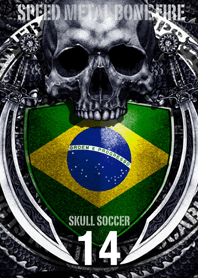 Pirates of skull Dragon Skull soccer 14