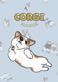corgicorgi8 - baby blue