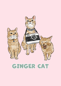 gingercat2 / pink