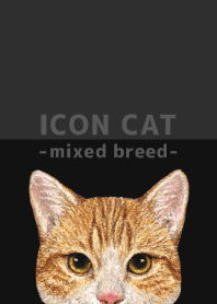 ICON CAT - Mixed breed cat - BLACK/17