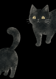 A unique cat06 black