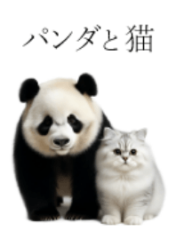 Panda and cat 2