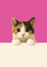 のぞき見三毛子猫 | ホットピンク#3