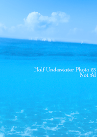 Half Underwater Photo 23 Not AI
