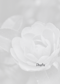 Black and white photography Theme 2