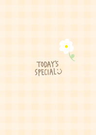 Plaid pattern single white flower20 J