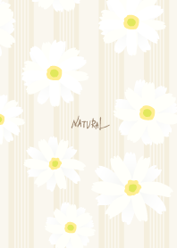 White Marguerite Simple25 from Japan