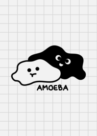 Amoeba are Liquid