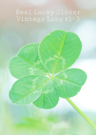 四つ葉のクローバー Vintage Lens #1-3